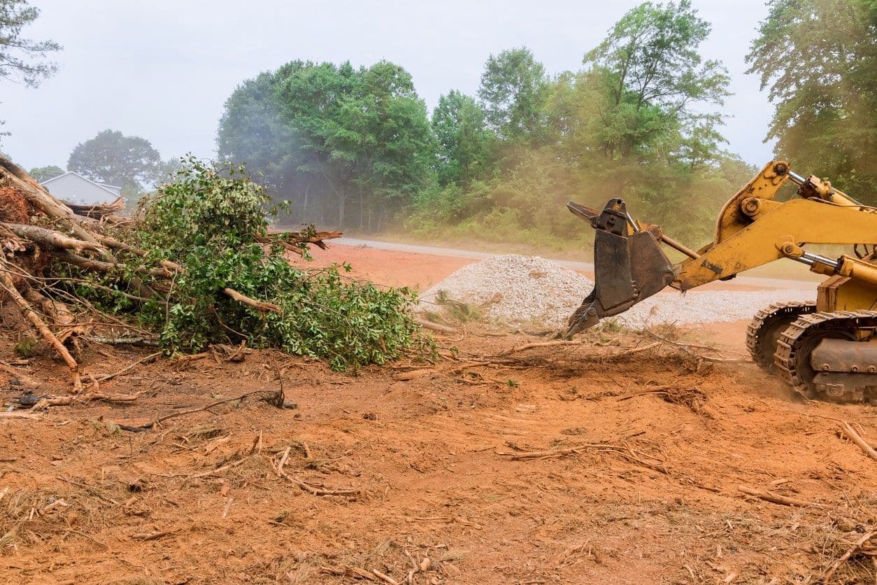 Cleared land with brush removed after land clearing work