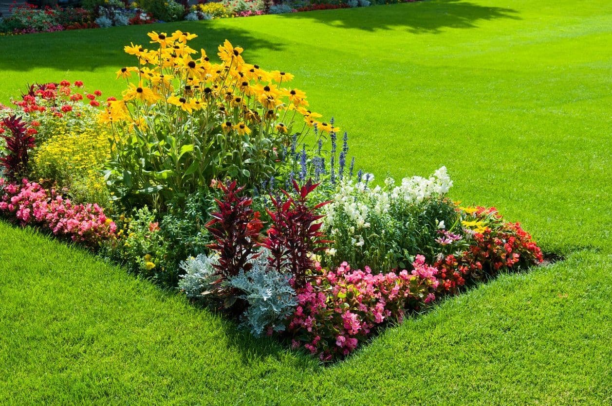 Landscaped flower bed with fresh mulch and ornamental plantings