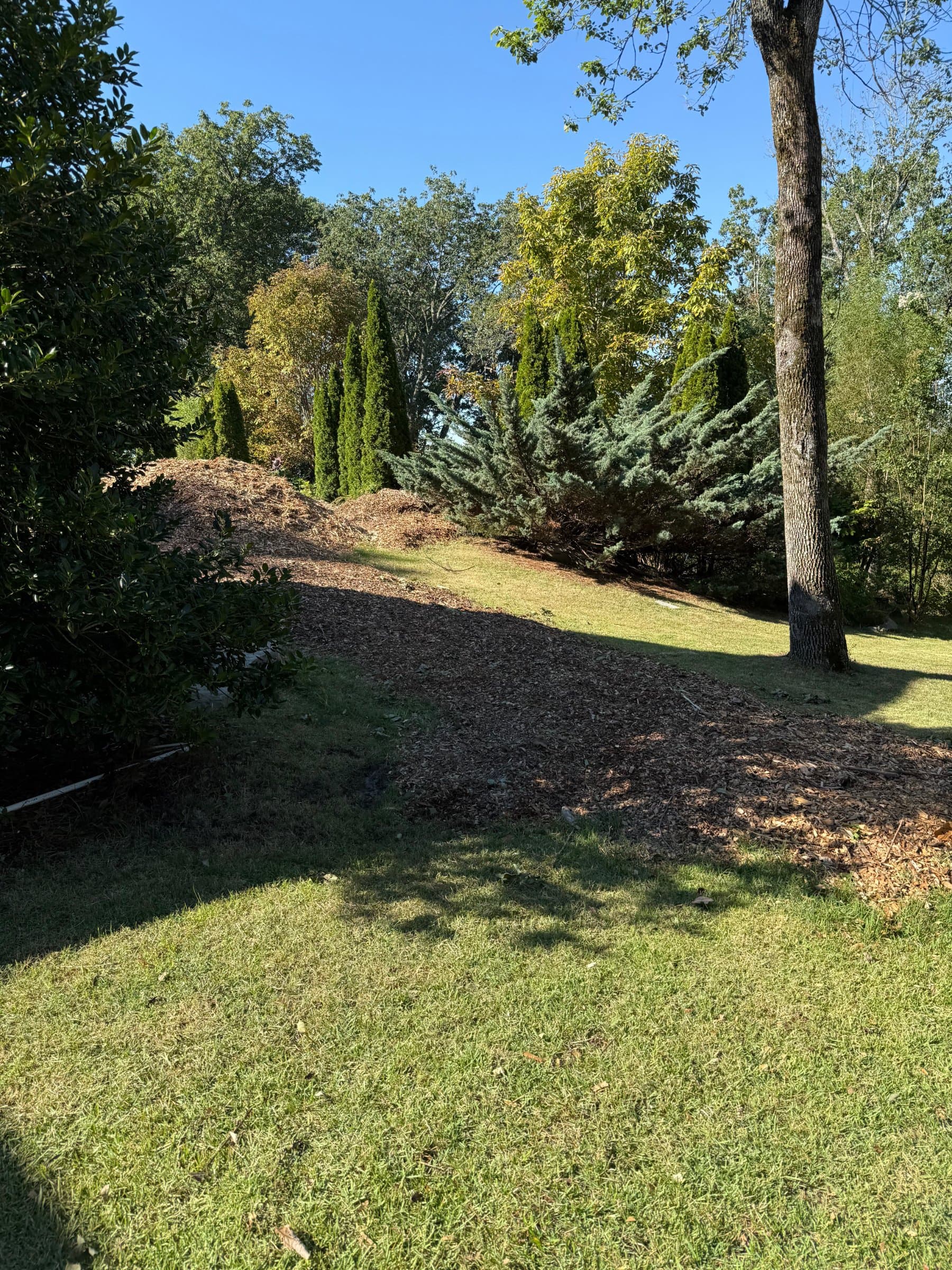 job photo — West Way Landwork project in North Alabama
